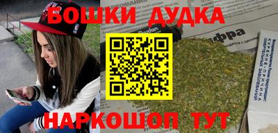 индика Тула