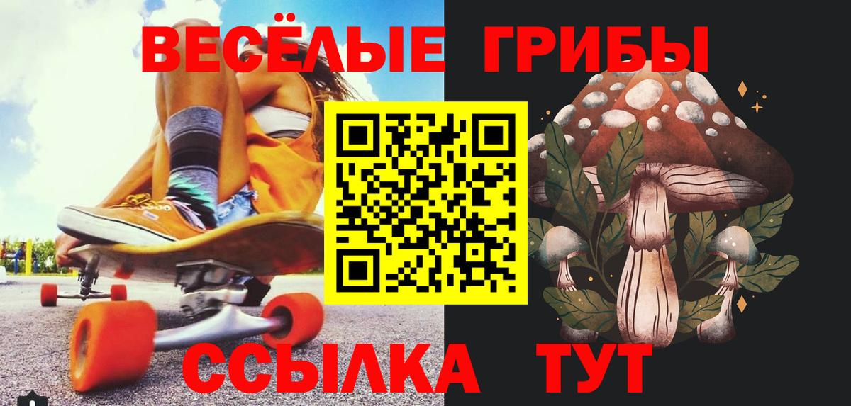 Галлюциногенные грибы Cubensis Междуреченск