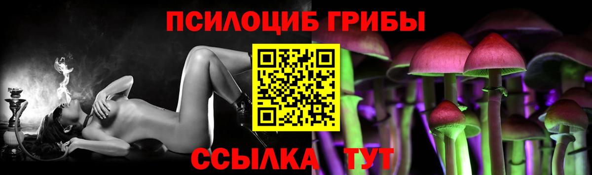 Междуреченск  Псилоцибиновые грибы мицелий  Вход с VPN 